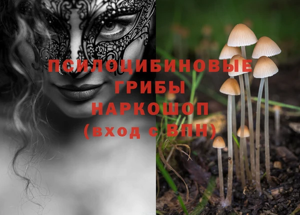 а пвп мука Ладушкин