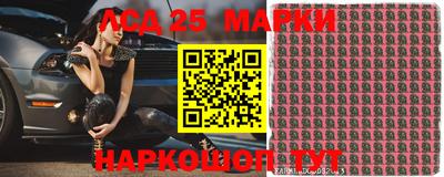 шишки Абакан