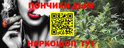 шишки Абакан