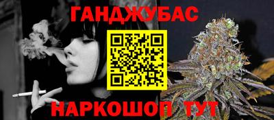шишки Абакан