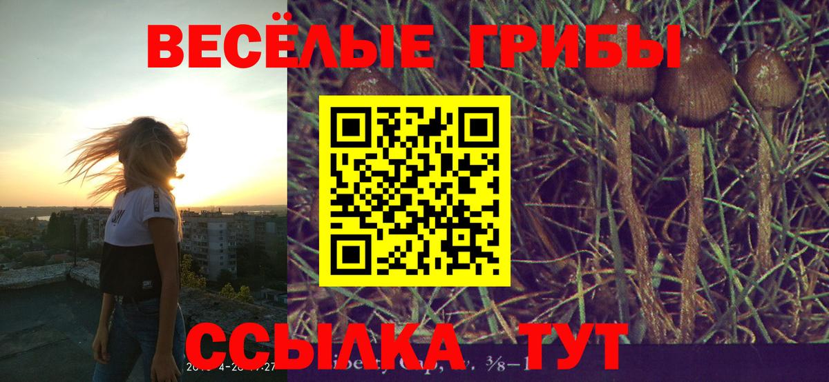 Галлюциногенные грибы мухоморы  Вход с VPN  Рославль 