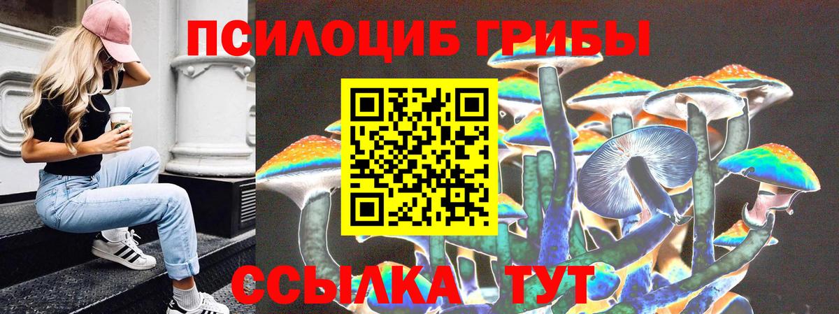 Рославль  Псилоцибиновые грибы Magic Shrooms  Вход с VPN 