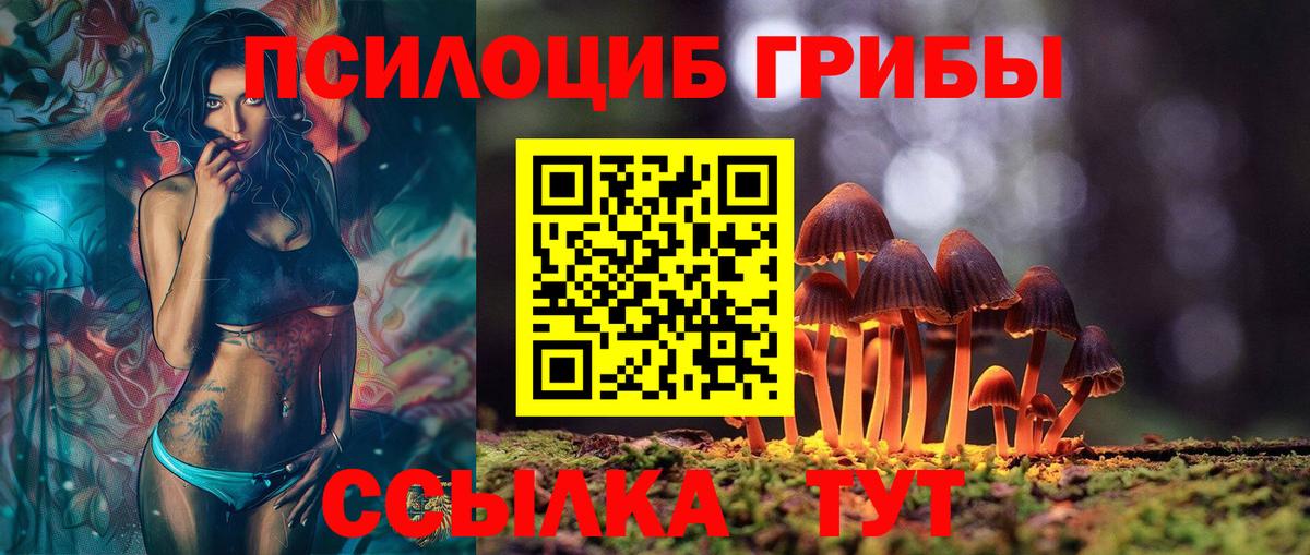 Псилоцибиновые грибы GOLDEN TEACHER Рославль